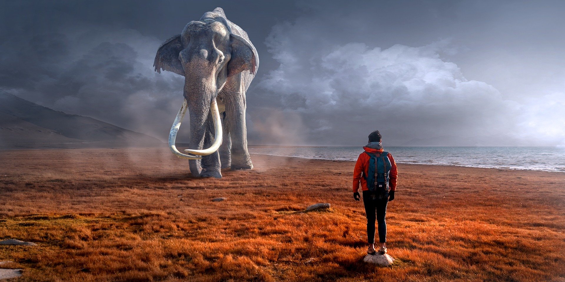 Walk With Woolly Mammoths In The MetaVerse As Scientist Recreate Ice Age With Augmented Reality - Science
