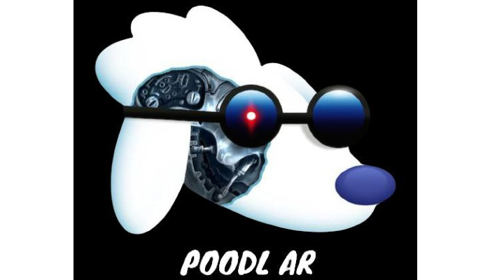 $POODL Token takes the real world, virtual world and augmented reality to help create the “Omniverse” - TechBullion
