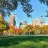 “Say Their Names”: An Augmented Reality Memorial in Central Park