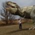 Sask. museum puts life-size Scotty the T. rex in your pocket through augmented reality | CBC News