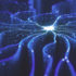 Not everything we call AI is actually 'artificial intelligence'. Here's what you need to know