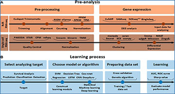 An artificial intelligence-based non-small cell lung cancer transcriptome RNA-sequence analysis technology selection guide