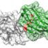 Artificial Intelligence Aids Discovery of Super Tight-Binding Antibodies