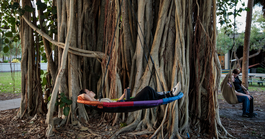 Opinion | In the Age of A.I., Major in Being Human - The New York Times