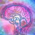 Artificial Intelligence Approach May Help Detect Alzheimer’s Disease From Routine Brain Imaging Tests - Neuroscience News