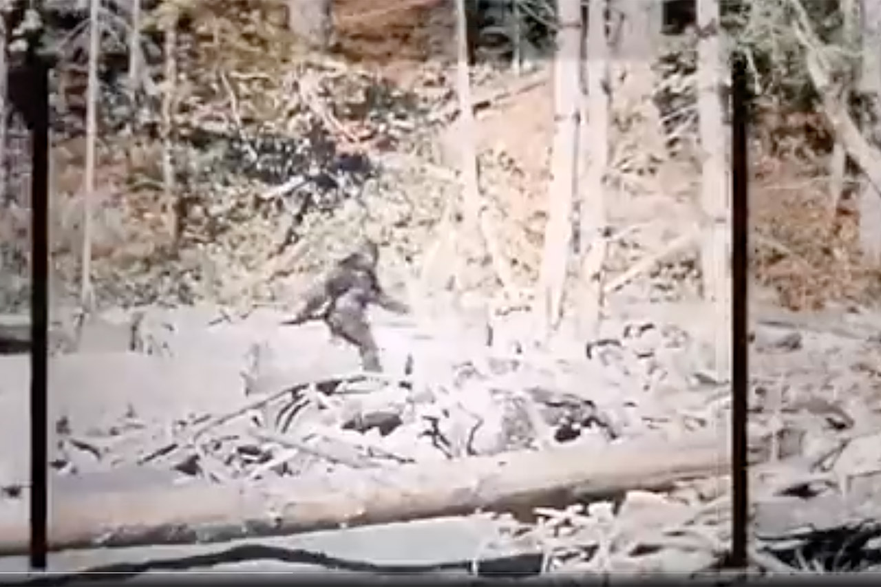 Artificial Intelligence Used to Stabilize the Patterson-Gimlin Bigfoot Film from 1967