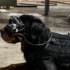 The US military is testing out augmented reality dog goggles.