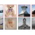 This A.I. Used Brain Scans to Recreate Images People Saw | Smart News|
 Smithsonian Magazine